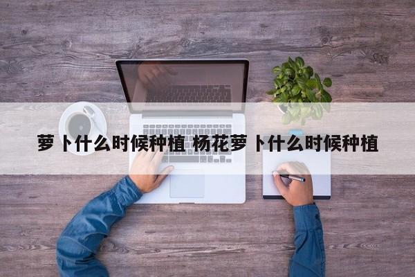 萝卜什么时候种植 杨花萝卜什么时候种植