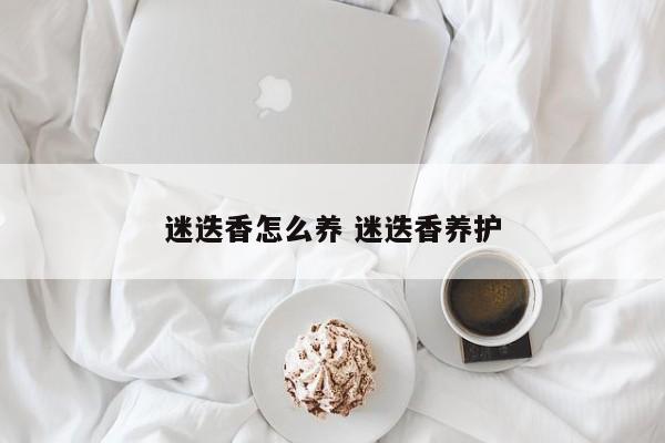 迷迭香怎么养 迷迭香养护