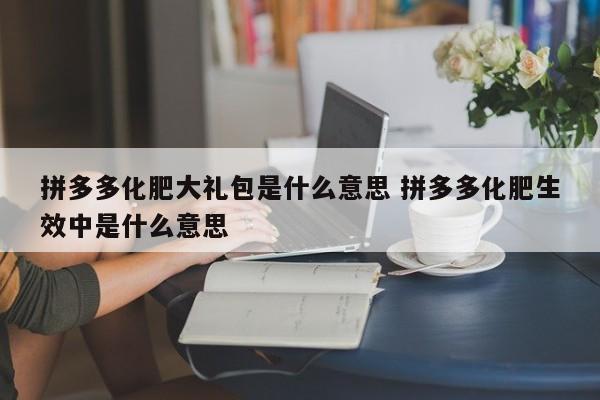 拼多多化肥大礼包是什么意思 拼多多化肥生效中是什么意思