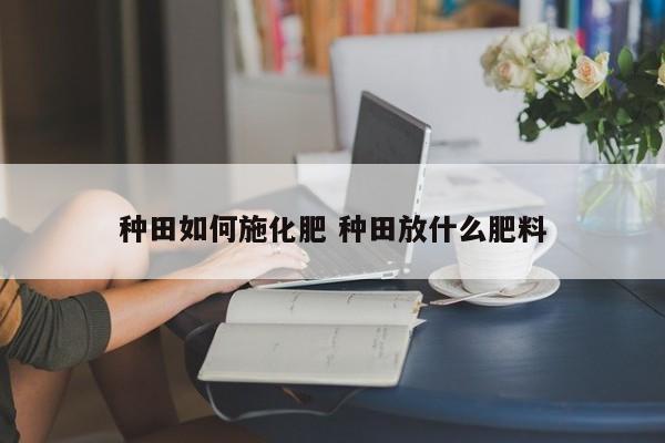 种田如何施化肥 种田放什么肥料