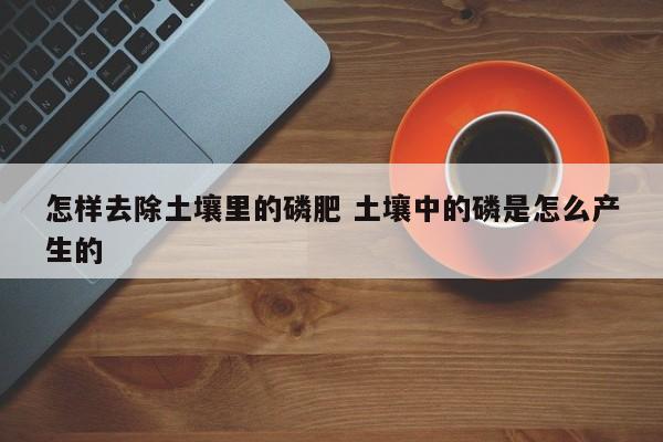怎样去除土壤里的磷肥 土壤中的磷是怎么产生的