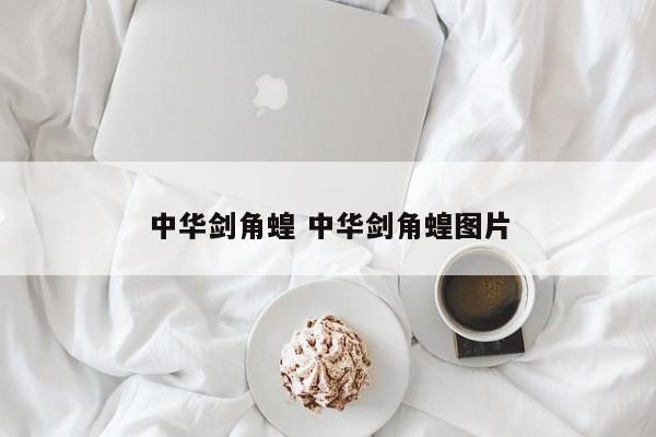中华剑角蝗 中华剑角蝗图片