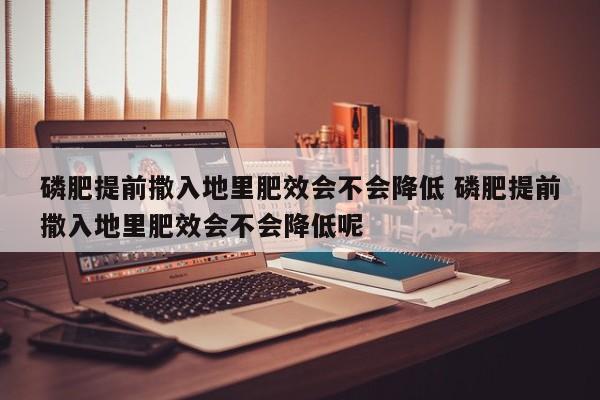 磷肥提前撒入地里肥效会不会降低 磷肥提前撒入地里肥效会不会降低呢