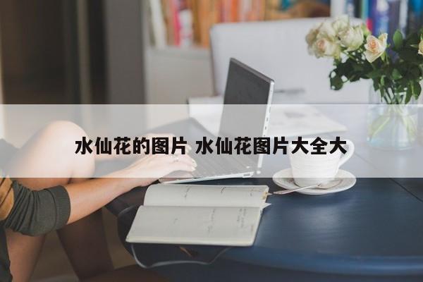 水仙花的图片 水仙花图片大全大