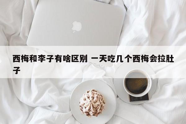 西梅和李子有啥区别 一天吃几个西梅会拉肚子