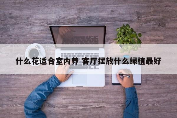 什么花适合室内养 客厅摆放什么绿植最好