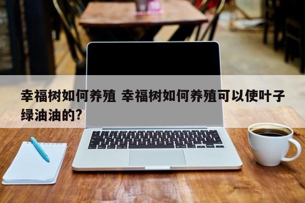 幸福树如何养殖 幸福树如何养殖可以使叶子绿油油的?