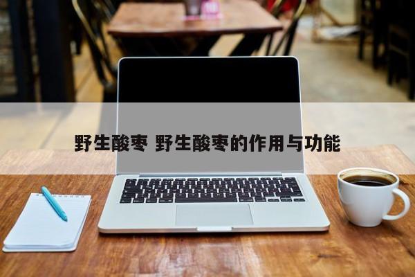 野生酸枣 野生酸枣的作用与功能