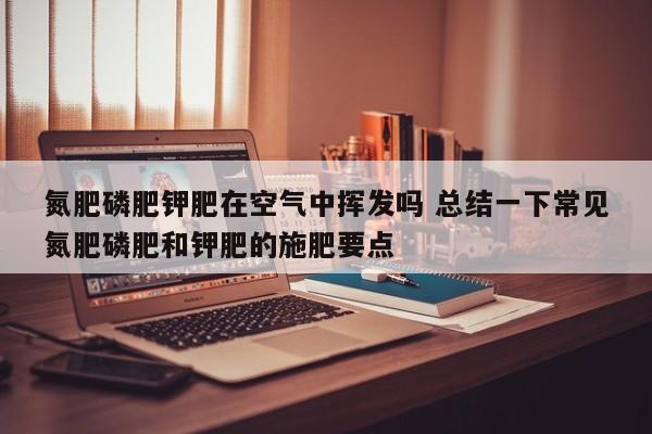 氮肥磷肥钾肥在空气中挥发吗 总结一下常见氮肥磷肥和钾肥的施肥要点