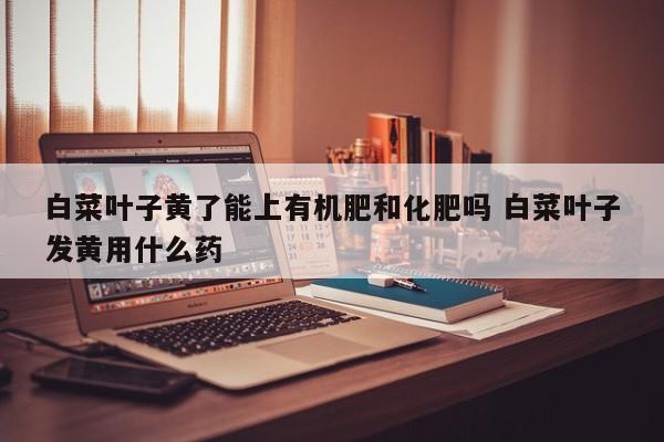 白菜叶子黄了能上有机肥和化肥吗 白菜叶子发黄用什么药