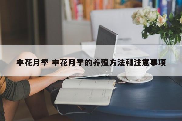 丰花月季 丰花月季的养殖方法和注意事项