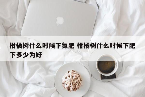 柑橘树什么时候下氮肥 柑橘树什么时候下肥下多少为好